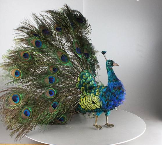 Peacock automaton, by Roullet & Decamps