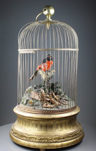 Large single antique singing bird-in-cage, by Phallibois