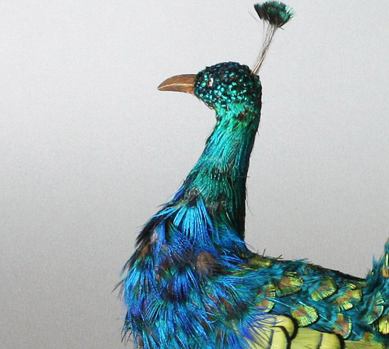 Peacock automaton, by Roullet & Decamps